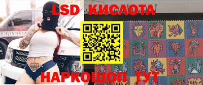 стафф Новозыбков