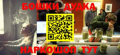 стафф Новозыбков