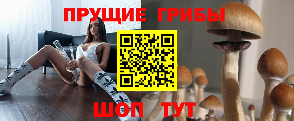 Галлюциногенные грибы GOLDEN TEACHER  Галлюциногенные грибы ЛСД  Таганрог  купить наркоту  Вход с VPN 