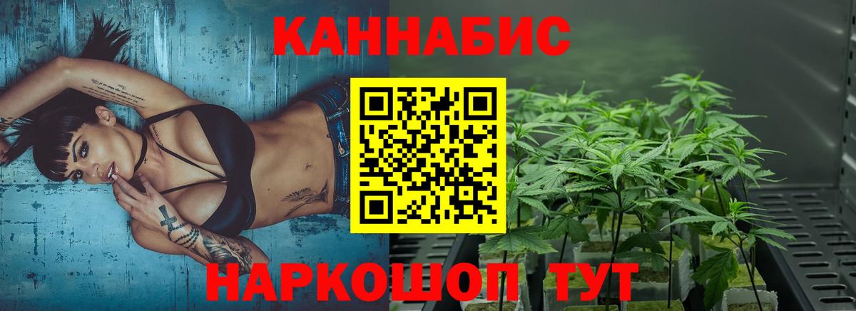 МАРИХУАНА план  Вход с VPN  Таганрог  Каннабис индика 